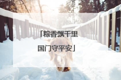 粽香飘千里 国门守平安