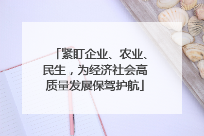 紧盯企业、农业、民生，为经济社会高质量发展保驾护航