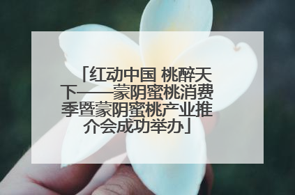 红动中国 桃醉天下——蒙阴蜜桃消费季暨蒙阴蜜桃产业推介会成功举办