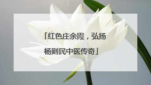 红色庄余霞，弘扬杨则民中医传奇