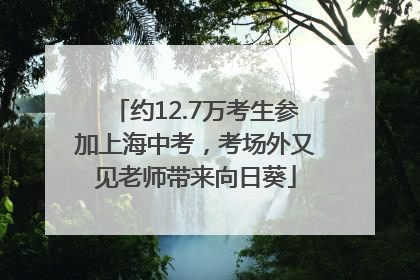 约12.7万考生参加上海中考，考场外又见老师带来向日葵