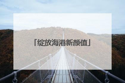 绽放海港新颜值
