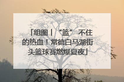 组图丨“篮” 不住的热血！常德白马湖街头篮球赛燃爆夏夜