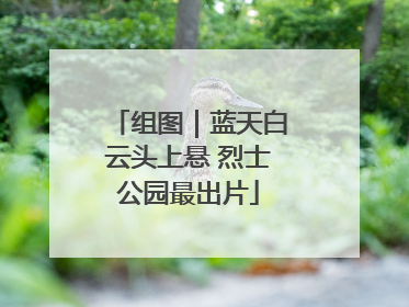 组图｜蓝天白云头上悬 烈士公园最出片