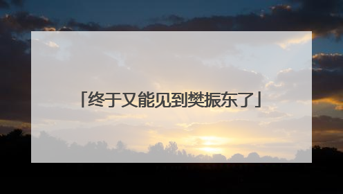 终于又能见到樊振东了