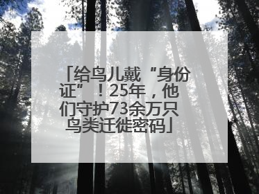 给鸟儿戴“身份证”！25年，他们守护73余万只鸟类迁徙密码
