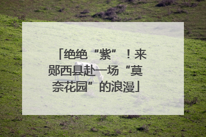 绝绝“紫”！来郧西县赴一场“莫奈花园”的浪漫