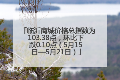 临沂商城价格总指数为103.38点，环比下跌0.10点（5月15日—5月21日）