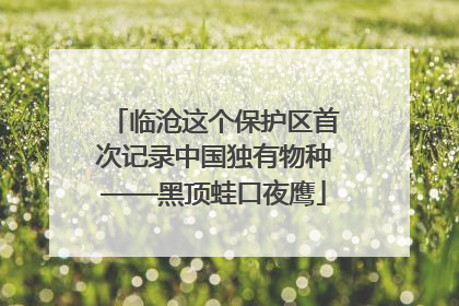 临沧这个保护区首次记录中国独有物种——黑顶蛙口夜鹰