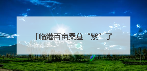 临港百亩桑葚“紫”了！采摘期可至7月初