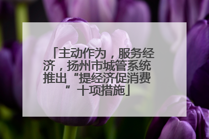 主动作为，服务经济，扬州市城管系统推出“提经济促消费”十项措施