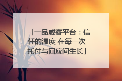 一品威客平台：信任的温度 在每一次托付与回应间生长