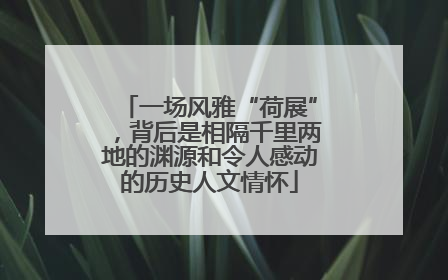 一场风雅“荷展”，背后是相隔千里两地的渊源和令人感动的历史人文情怀