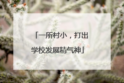 一所村小，打出学校发展精气神