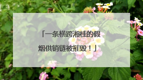 一条横跨湘桂的假烟供销链被摧毁！