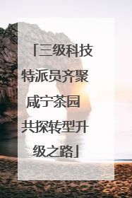 三级科技特派员齐聚咸宁茶园 共探转型升级之路