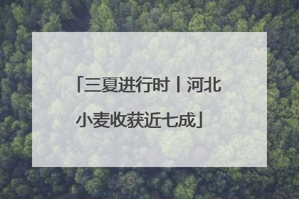 三夏进行时丨河北小麦收获近七成