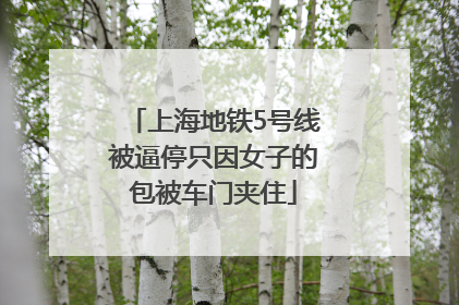 上海地铁5号线被逼停只因女子的包被车门夹住