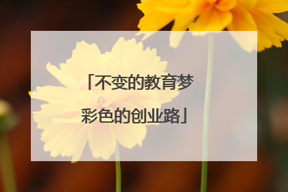 不变的教育梦 彩色的创业路