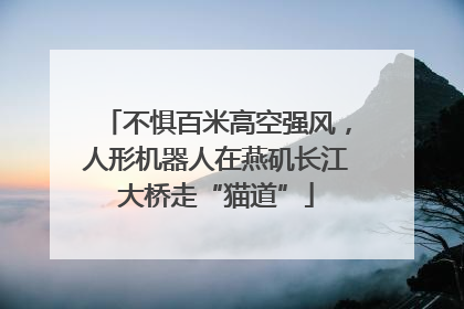 不惧百米高空强风，人形机器人在燕矶长江大桥走“猫道”