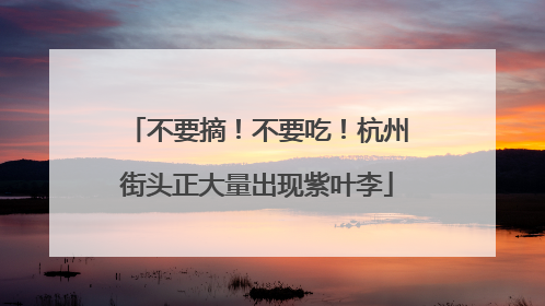 不要摘！不要吃！杭州街头正大量出现紫叶李