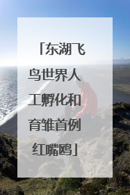 东湖飞鸟世界人工孵化和育雏首例红嘴鸥