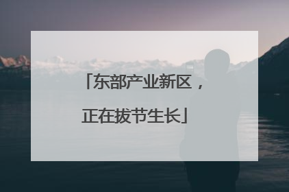 东部产业新区，正在拔节生长