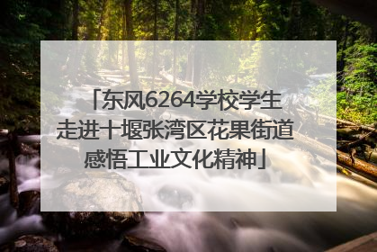 东风6264学校学生走进十堰张湾区花果街道感悟工业文化精神