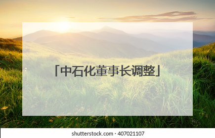 中石化董事长调整