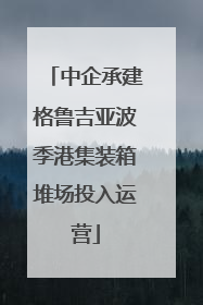 中企承建格鲁吉亚波季港集装箱堆场投入运营