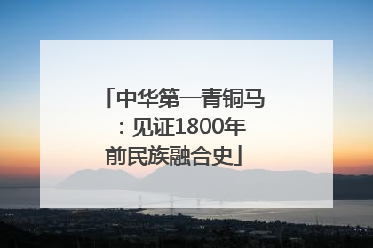 中华第一青铜马：见证1800年前民族融合史