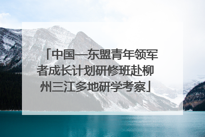 中国—东盟青年领军者成长计划研修班赴柳州三江多地研学考察