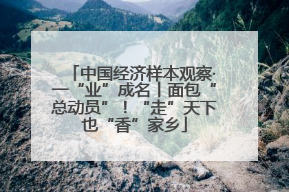 中国经济样本观察·一“业”成名丨面包“总动员”！“走”天下也“香”家乡
