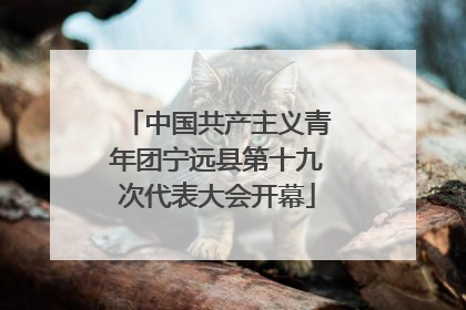 中国共产主义青年团宁远县第十九次代表大会开幕