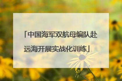 中国海军双航母编队赴远海开展实战化训练
