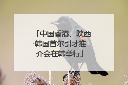中国香港、陕西·韩国首尔引才推介会在韩举行