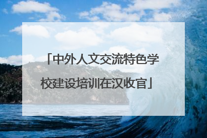中外人文交流特色学校建设培训在汉收官