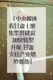 中央媒体看甘肃丨聚焦集群建设 加快转型升级 甘肃支柱产业增势强劲