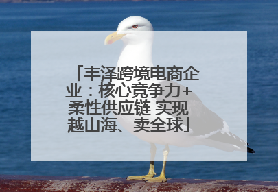 丰泽跨境电商企业：核心竞争力+柔性供应链 实现越山海、卖全球