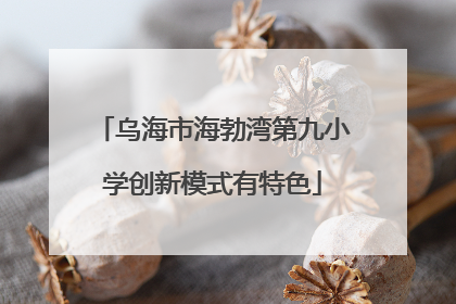 乌海市海勃湾第九小学创新模式有特色