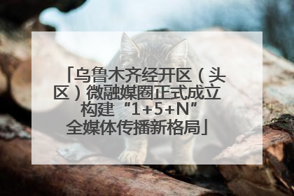 乌鲁木齐经开区（头区）微融媒圈正式成立 构建“1+5+N”全媒体传播新格局