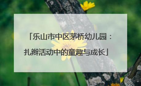 乐山市中区茅桥幼儿园：扎辫活动中的童趣与成长