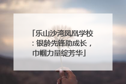乐山沙湾凤凰学校：银龄先锋助成长，巾帼力量绽芳华