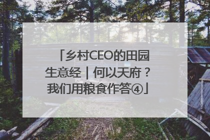 乡村CEO的田园生意经｜何以天府？我们用粮食作答④