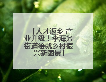 人才返乡 产业升级！李海务街道绘就乡村振兴新图景