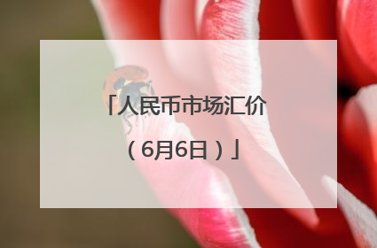 人民币市场汇价（6月6日）