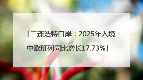 二连浩特口岸：2025年入境中欧班列同比增长17.73%
