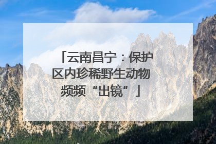 云南昌宁：保护区内珍稀野生动物频频“出镜”