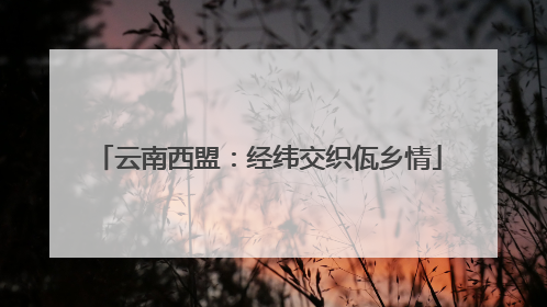 云南西盟：经纬交织佤乡情