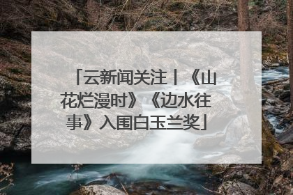 云新闻关注丨《山花烂漫时》《边水往事》入围白玉兰奖